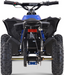 Renegade Race-X 1000W 36V Electric Quad Blue Rear View